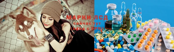 PSILOCYBIN Кулебаки