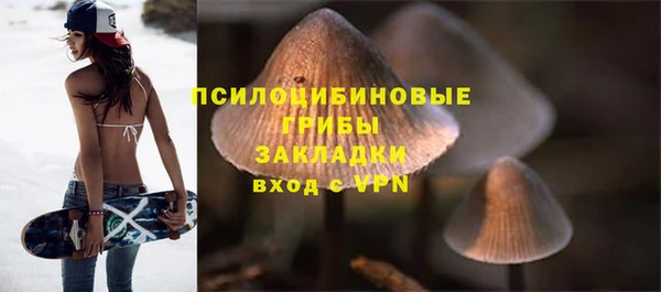 прущие крисы Кущёвская