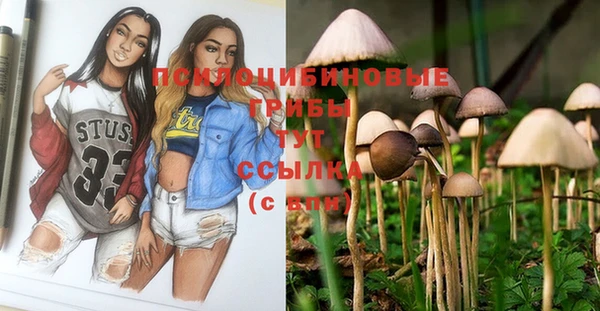 PSILOCYBIN Кулебаки