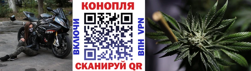 площадка формула  Хасавюрт  Конопля семена 
